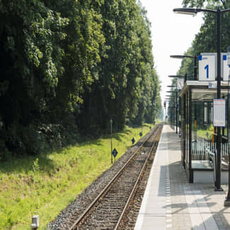  Mensen met een handicap staan nog te vaak buiten de maatschappij